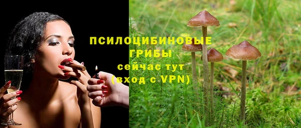 Альфа ПВП Кулебаки