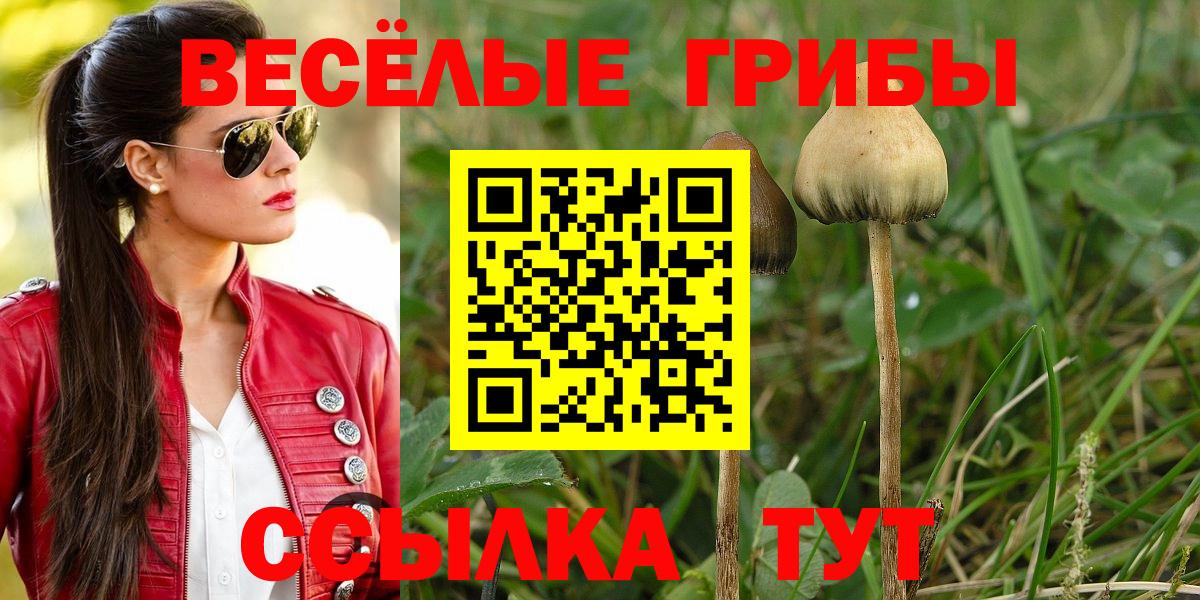 Галлюциногенные грибы прущие грибы  Вход с VPN  Челябинск  Галлюциногенные грибы Psilocybine cubensis 