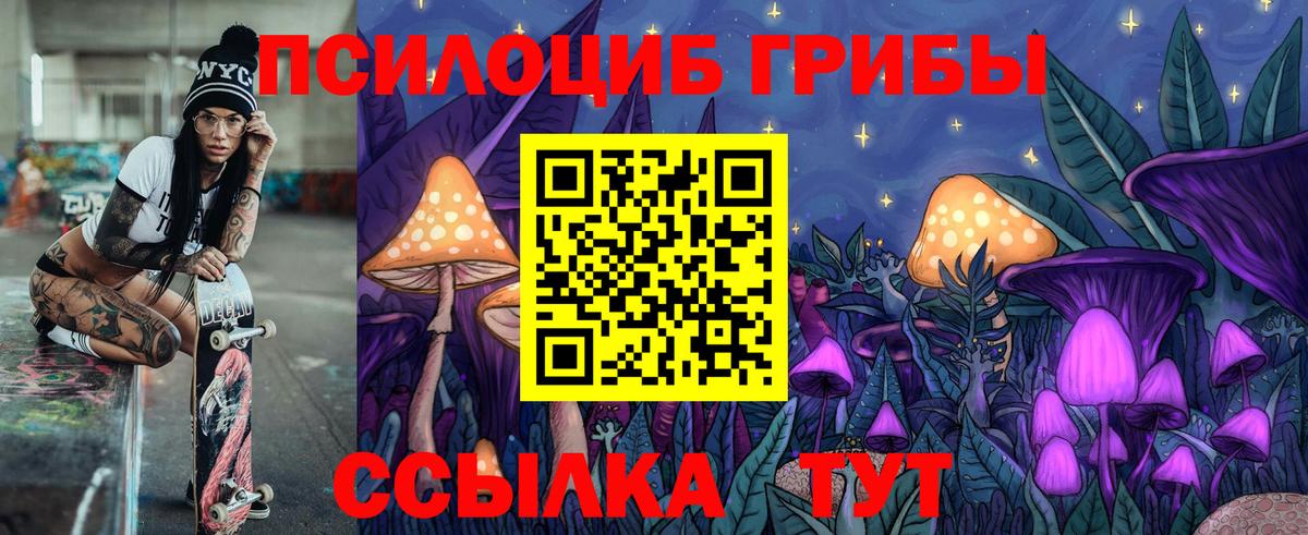 Псилоцибиновые грибы Psilocybe  хочу   Челябинск 